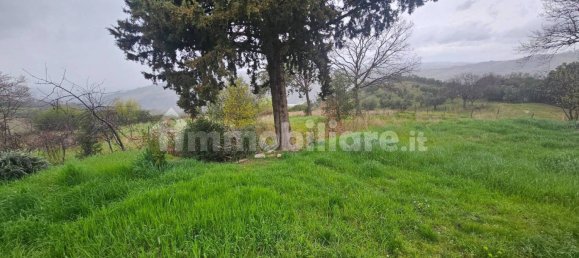 4 chambres Maison à Scansano, Italy No. 204612 11