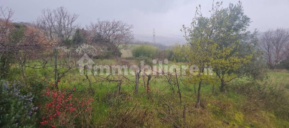 4 chambres Maison à Scansano, Italy No. 204612 13