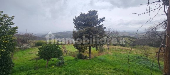 4 chambres Maison à Scansano, Italy No. 204612 8