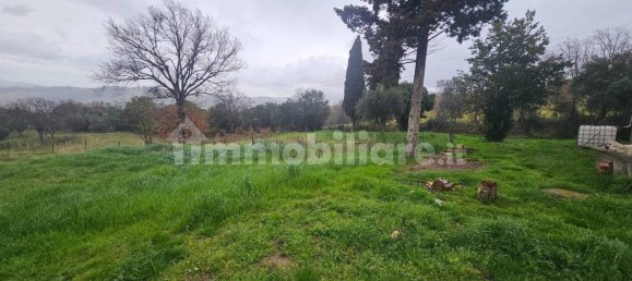 4 chambres Maison à Scansano, Italy No. 204612 12