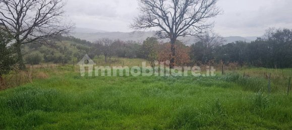 4 chambres Maison à Scansano, Italy No. 204612 10