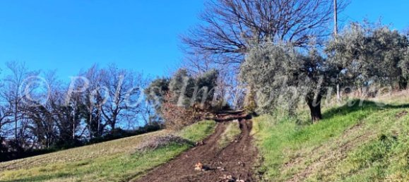 Дом с 3 спальнями в Монтаппоне, Италия № 165203 9