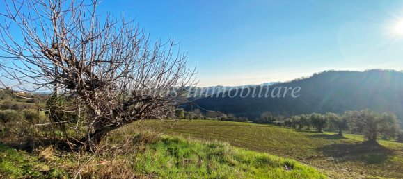 Дом с 3 спальнями в Монтаппоне, Италия № 165203 11