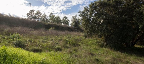 Terrain à Alenquer, Portugal 195m² No. 95778 5