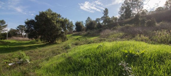 Terrain à Alenquer, Portugal 195m² No. 95778 2