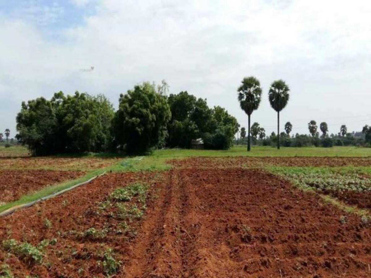  Land in Aligarh, India No. 33573