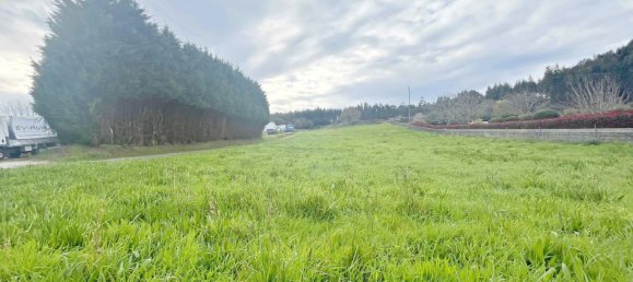 Terrain à Naron, Spain 4500m² No. 108027 3