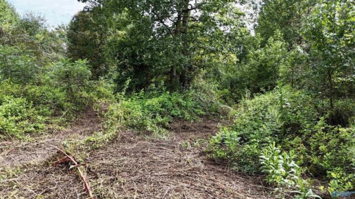  Land in Crossville, USA No. 478902