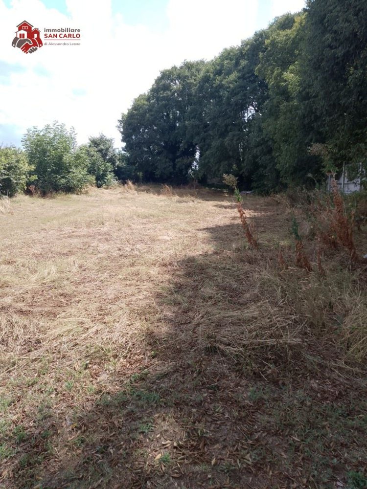 1600m² Land in Nole, Italy No. 308458