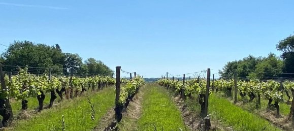 3 غرف نوم منزل في Bergerac, France رقم 342335 10