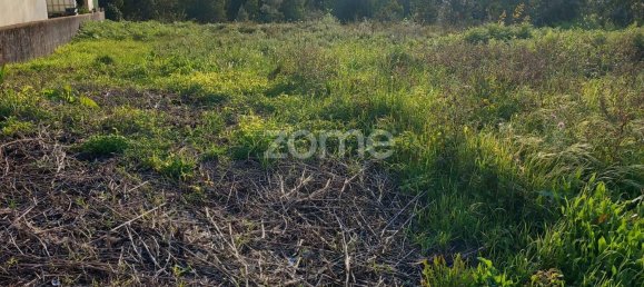 2544m² Land in Luso, Portugal No. 26783 8
