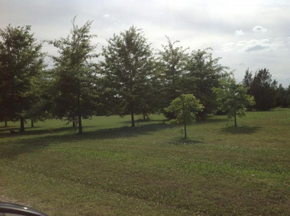  Land in General Rodriguez, Argentina No. 113668