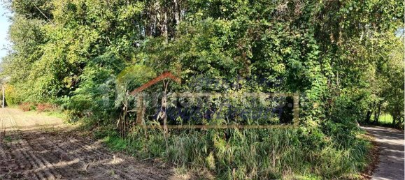 Grundstück in Caravate, Italy 14300m², Nr. 158420 7