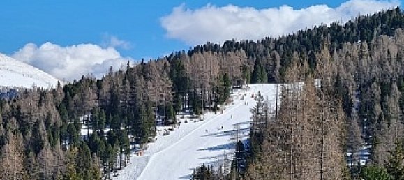 4 rooms House in Stadl-Predlitz, Austria No. 49608 11