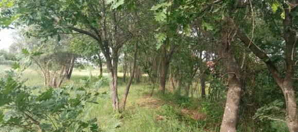 2 bedrooms House in Goncalo, Portugal No. 128449 27