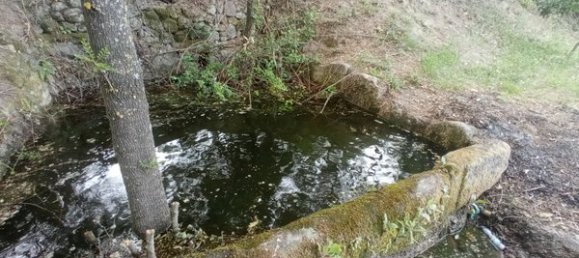 2 bedrooms House in Goncalo, Portugal No. 128449 41