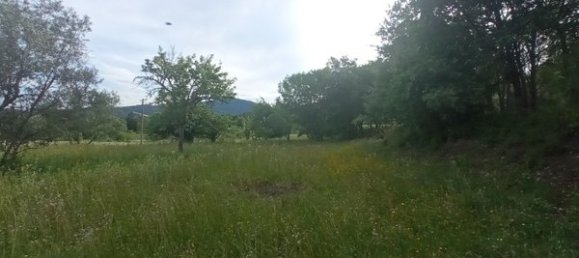 2 bedrooms House in Goncalo, Portugal No. 128449 9