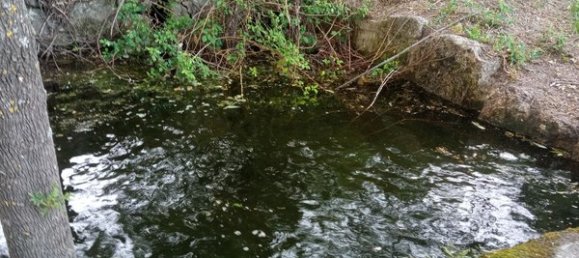 2 bedrooms House in Goncalo, Portugal No. 128449 7