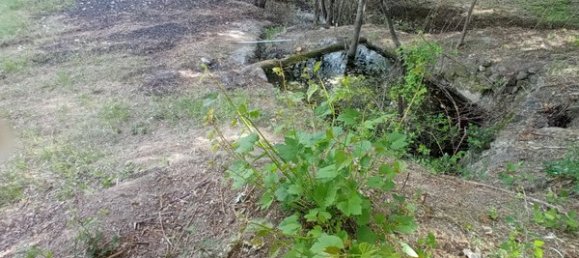 2 bedrooms House in Goncalo, Portugal No. 128449 44