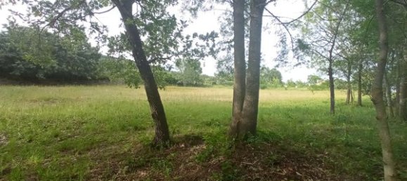 2 bedrooms House in Goncalo, Portugal No. 128449 17