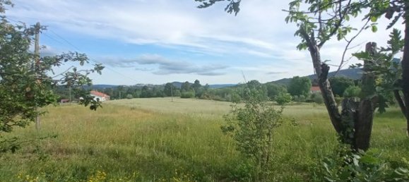 2 bedrooms House in Goncalo, Portugal No. 128449 29