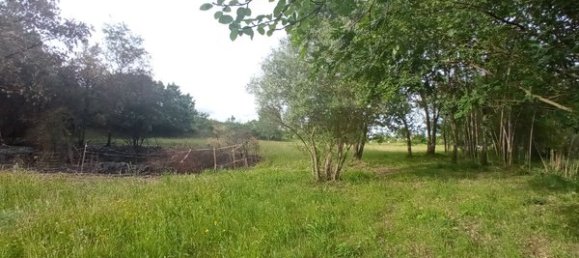 2 bedrooms House in Goncalo, Portugal No. 128449 2