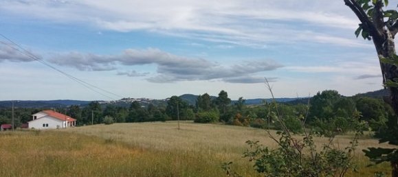 2 bedrooms House in Goncalo, Portugal No. 128449 59