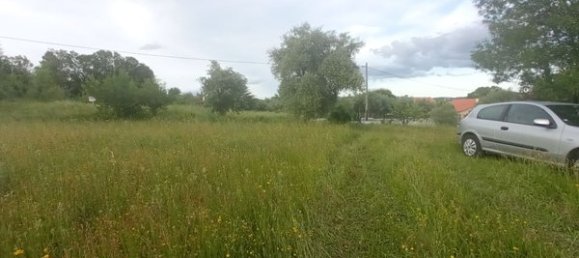 2 bedrooms House in Goncalo, Portugal No. 128449 37