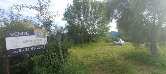 2 bedrooms House in Goncalo, Portugal No. 128449 38