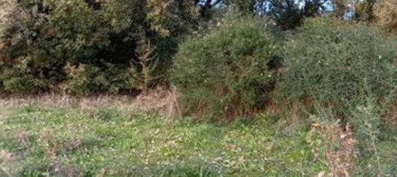 2 bedrooms House in Goncalo, Portugal No. 128449 60