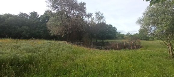 2 bedrooms House in Goncalo, Portugal No. 128449 3