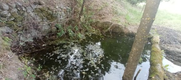 2 bedrooms House in Goncalo, Portugal No. 128449 14