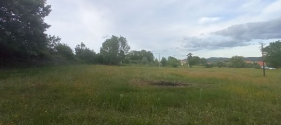 2 bedrooms House in Goncalo, Portugal No. 128449 8