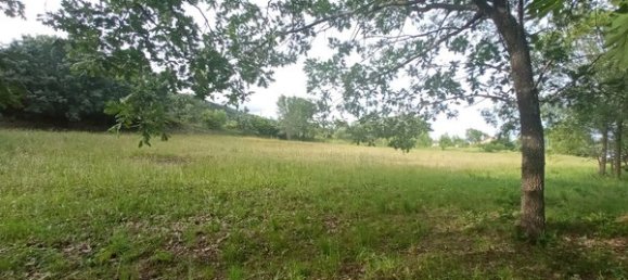 2 bedrooms House in Goncalo, Portugal No. 128449 15