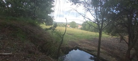 2 bedrooms House in Goncalo, Portugal No. 128449 58