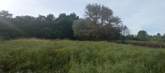 2 bedrooms House in Goncalo, Portugal No. 128449 12