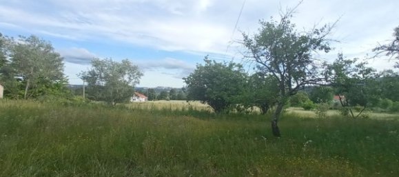 2 bedrooms House in Goncalo, Portugal No. 128449 19