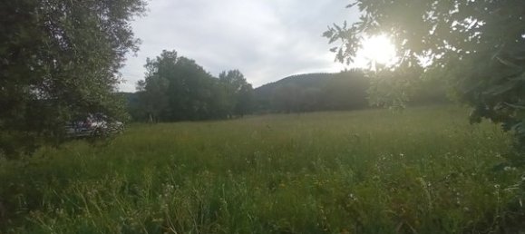 2 bedrooms House in Goncalo, Portugal No. 128449 18