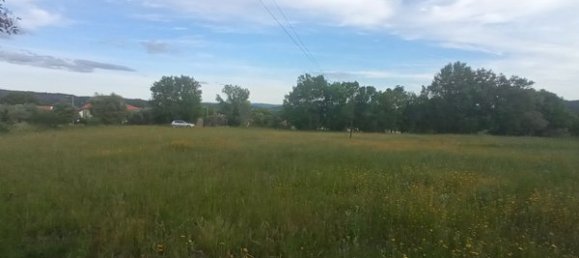 2 bedrooms House in Goncalo, Portugal No. 128449 22