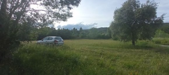 2 bedrooms House in Goncalo, Portugal No. 128449 50