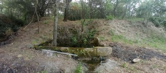 2 bedrooms House in Goncalo, Portugal No. 128449 43