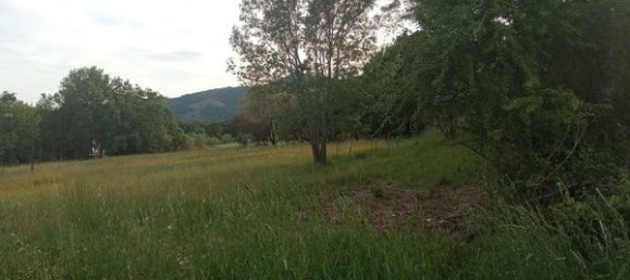 2 bedrooms House in Goncalo, Portugal No. 128449 30