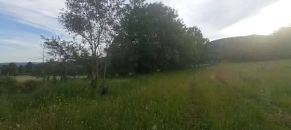 2 bedrooms House in Goncalo, Portugal No. 128449 47