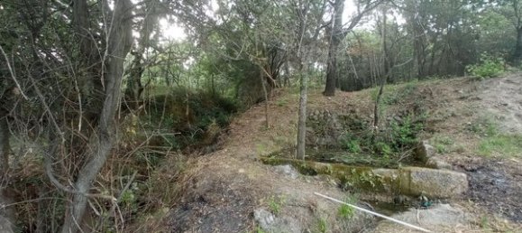 2 bedrooms House in Goncalo, Portugal No. 128449 21