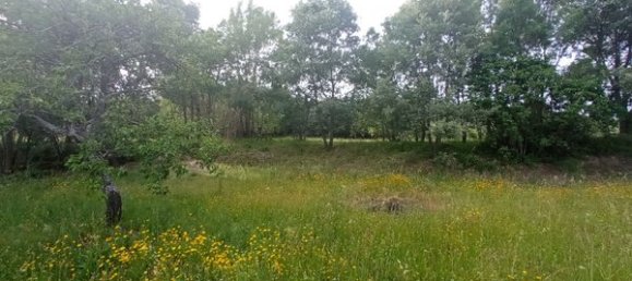 2 bedrooms House in Goncalo, Portugal No. 128449 25