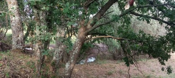 2 bedrooms House in Goncalo, Portugal No. 128449 26