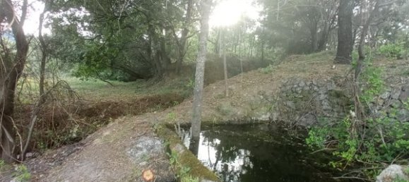 2 bedrooms House in Goncalo, Portugal No. 128449 24