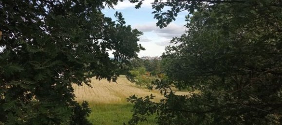 2 bedrooms House in Goncalo, Portugal No. 128449 6