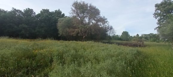 2 bedrooms House in Goncalo, Portugal No. 128449 34