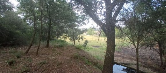 2 bedrooms House in Goncalo, Portugal No. 128449 33